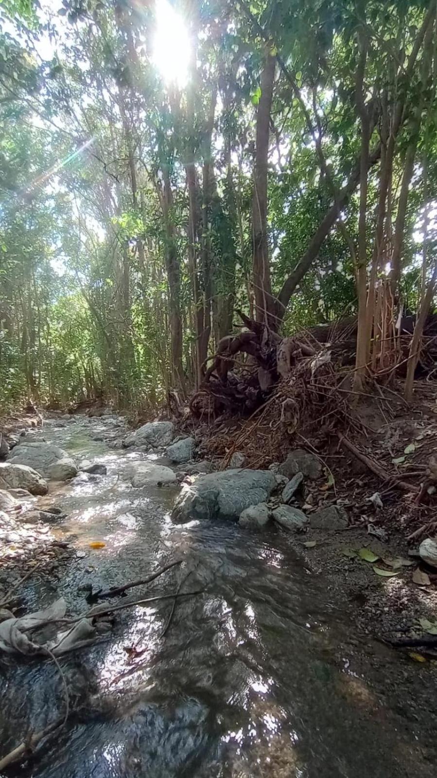 Loma Linda Hostal Y Posada Serrana El Rincón Dış mekan fotoğraf